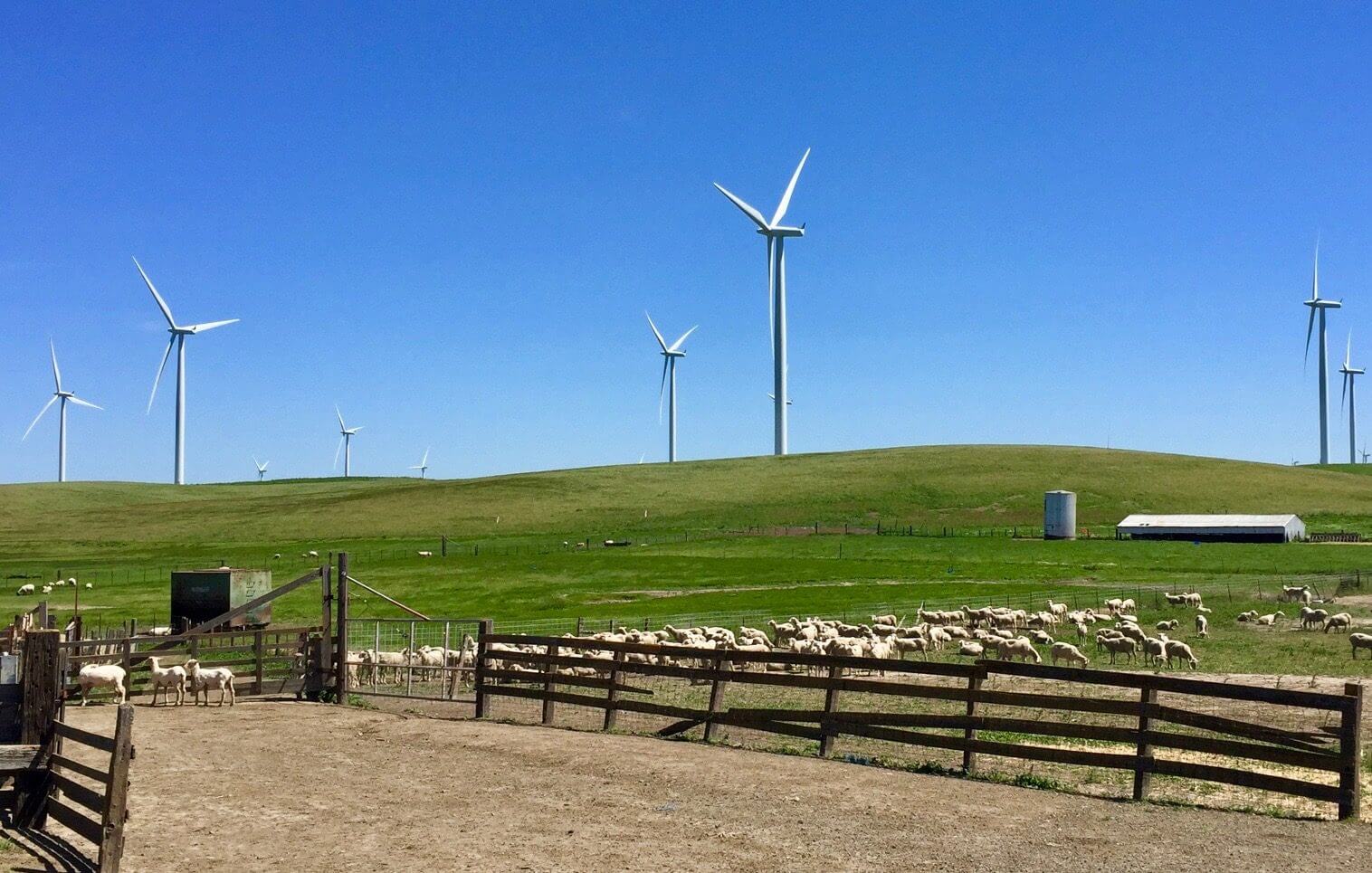 Wind turbines on the Hamilton Family Ranch